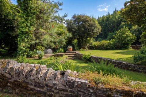 Garden from the wall