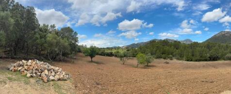 PHOTO-2025-05-10-13-