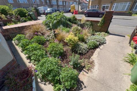 Front garden.jpg