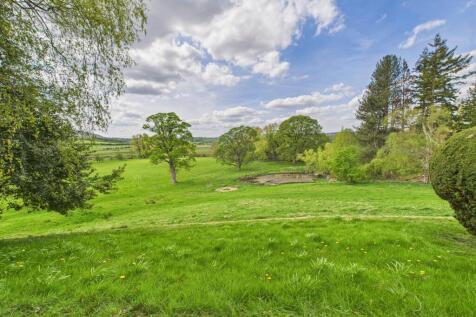 CAM04201G0-PR0078-STILL136