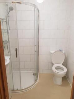 66 goldbeaters toilet