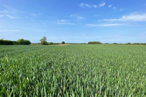 Land for sale Image 5