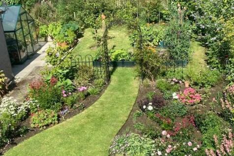 back garden 2.jpg