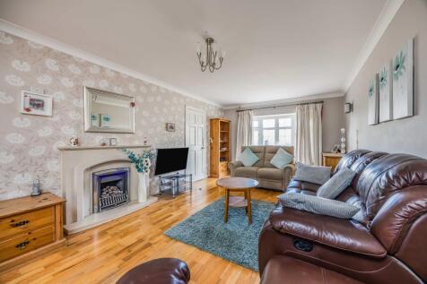 20250203163915875_original [683118912].jpg