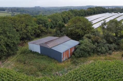 dji_fly_20250811_102642_280_1754904624400_photo_op