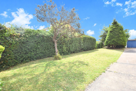 SIDE GARDEN