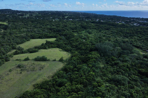 60 Acres, Holetown