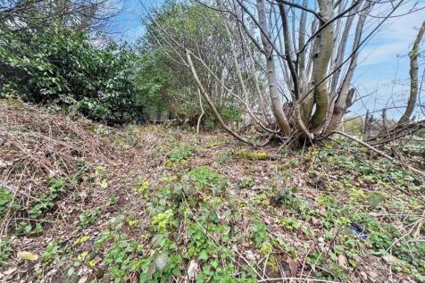 31park8.jpg