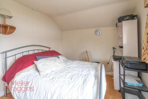 20250321-20250321-DSC07238 (2).jpg