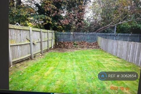 Back Garden