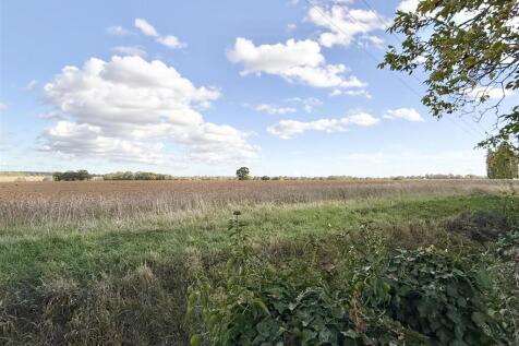 field view
