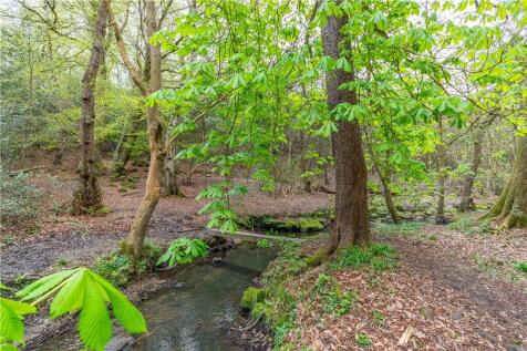 Adjacant Adel Woods