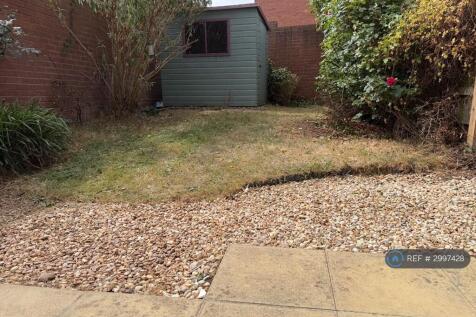Back Garden