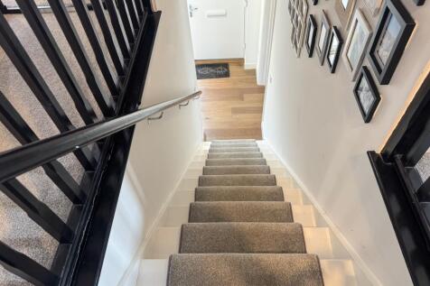 Primrose EweMove Redcar-21