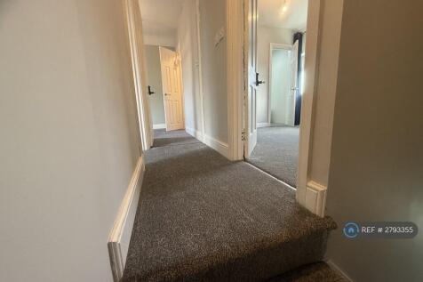 Stairs - New Carpet 