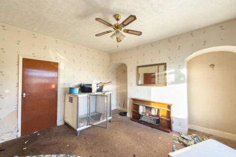 IMG 8182 T202511241608.jpg