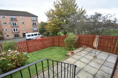Back Garden
