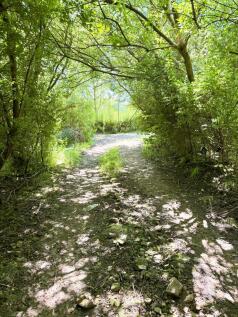 Land for sale Image 5