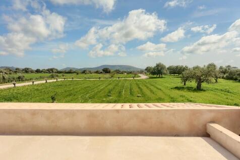 Roof terrace 1 - 2