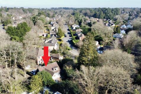 dji_fly_20250304_113226_288_1741093462774_photo_op