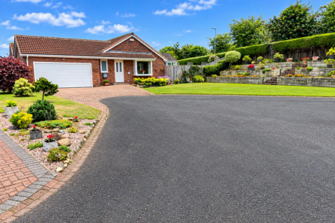 Sunny Suburban Bungalow and Landscaped Driveway.pn