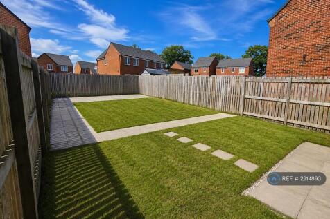 Back Garden 