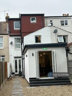 Rear Patio Garden