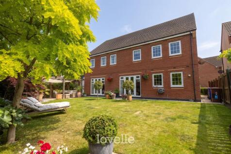 Property Image 43