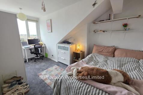 Ebor Mount, Hyde Park, Leeds, LS6 photo 5