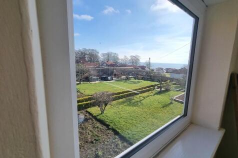 Window view