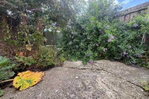garden.jpg