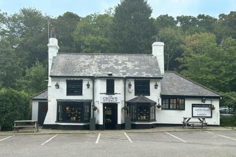 Crown  Stirrup Lyndhurst .jpeg