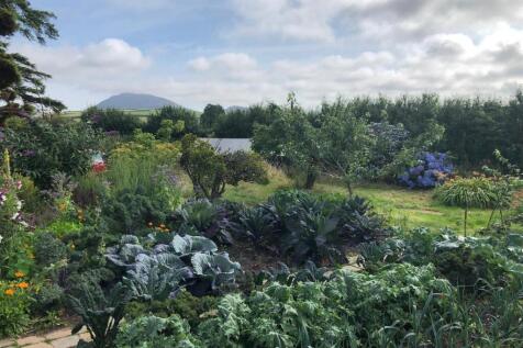 Garden - vendor photo 3.jpeg