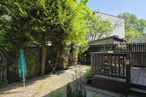 Sunny garden shot 