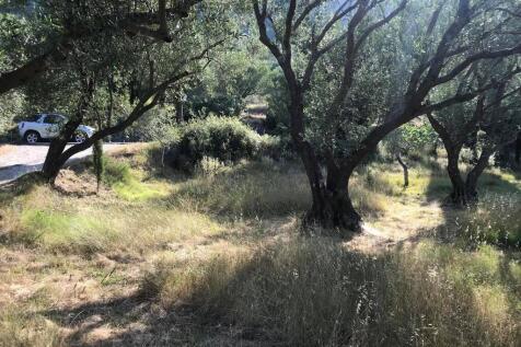 Plot and road access