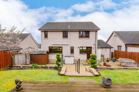 Rear garden 3