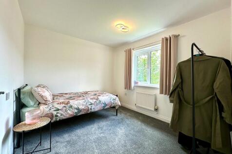 WhatsApp Image 20...