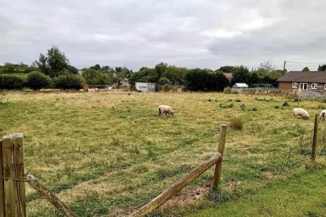 vJiinC6URk-Lqd1_nvQtHA 2.jpg