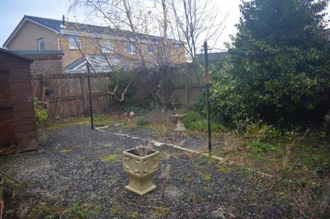 Back Garden