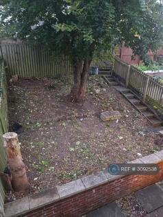 Back Garden