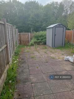 Back Garden