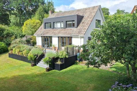 Rear of Property