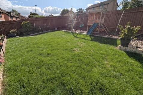 Garden b.jpg