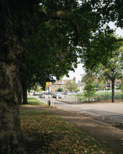 Property Image 20