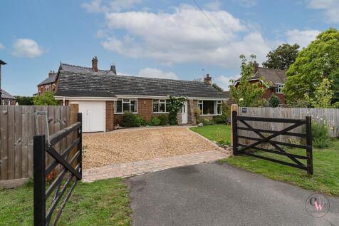 DSC02419-Edit.jpg