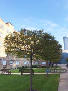 Communal Garden