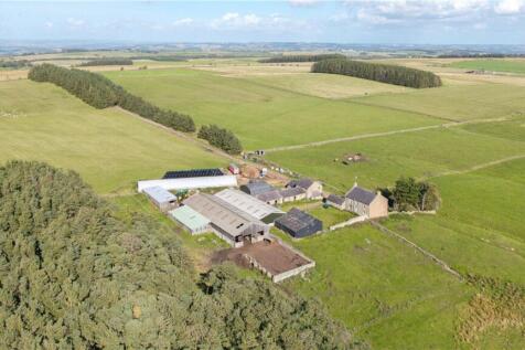 Lords Lot Steading