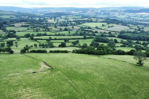 dji_fly_20240709_164030_455_1720539736191_photo_op