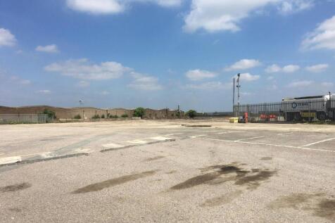 Area 10 looking NE from SW corner.jpg