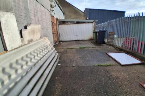 rear yard.jpg